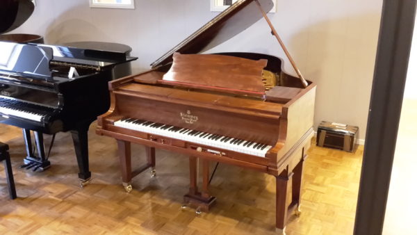 Steinway & Sons O Duo Art