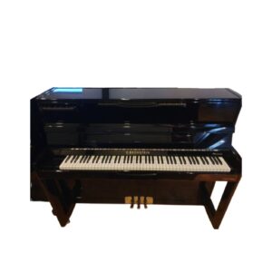 Bechstein 118 Jubileum Editie
