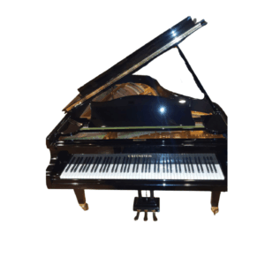 Bechstein B