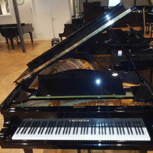 Bechstein B