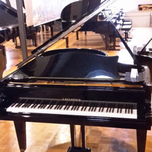 Bechstein M