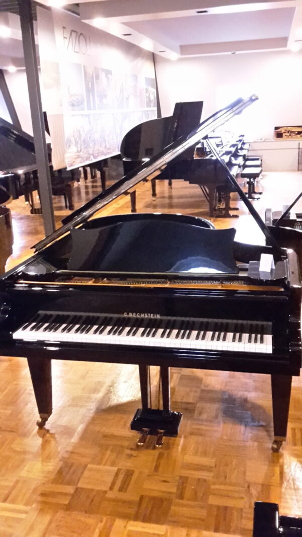 Bechstein M