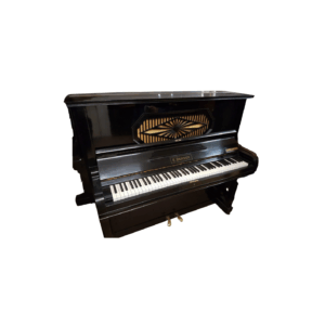 Berdux 132 zwart politoer