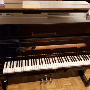 Schimmel 120