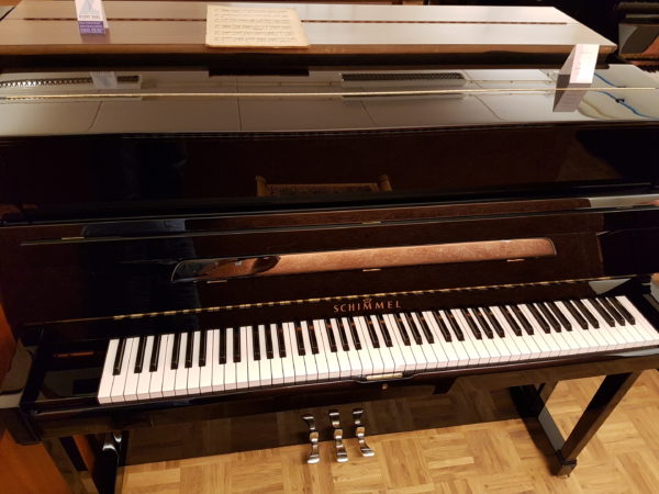 Schimmel 120