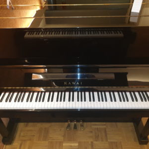 Kawai NS10