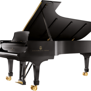 Steinway & Sons D