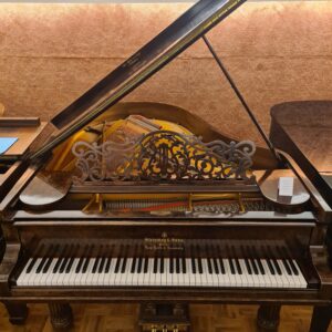steinway vleugel piano