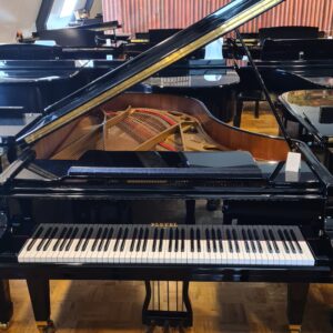 pleyel vleugel