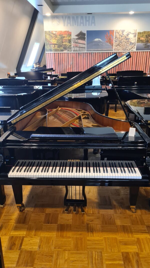 pleyel vleugel