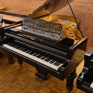 zwarte bosendorfer vleugel piano