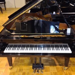 bechstein zwart vleugel