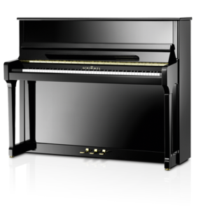 schimmel zwarte piano