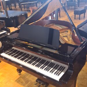 zwarte bechstein vleugel piano