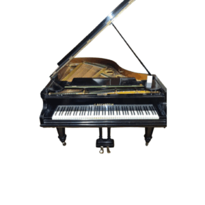Bechstein A
