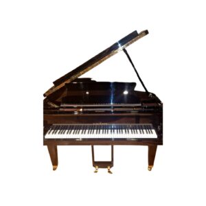 Schimmel 174 Zwart Hoogglans