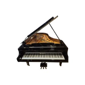 Bosendorfer 200