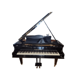 Bechstein M