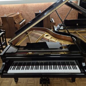 Kawai 600