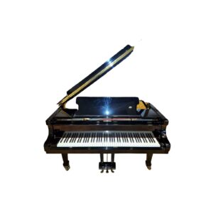 Fazioli 212