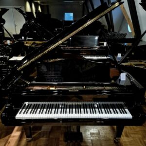 Bechstein MP190