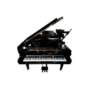 Bechstein MP190
