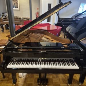 Yamaha C2 Silent SG