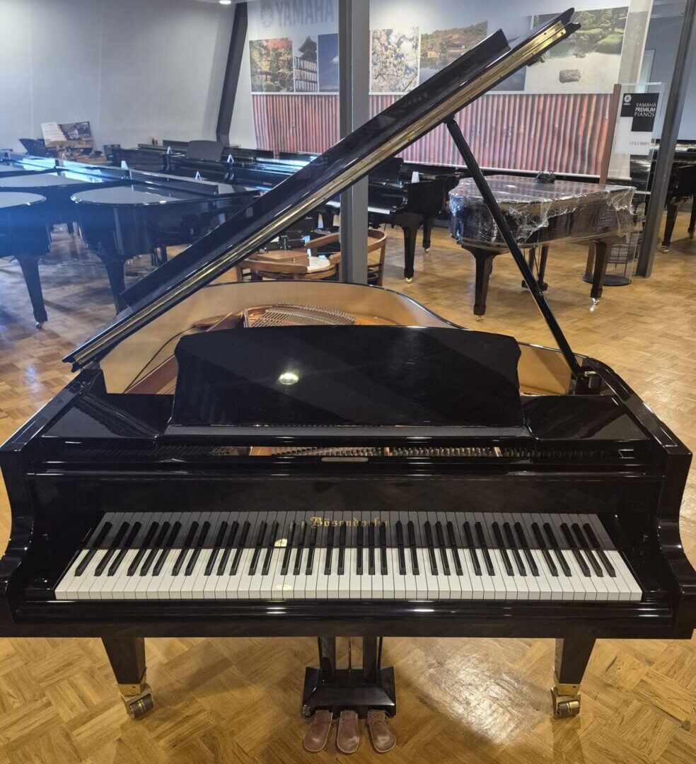 Bosendorfer 170 consignatie